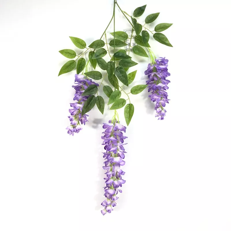 Fałszywe gałęzie Wisteria