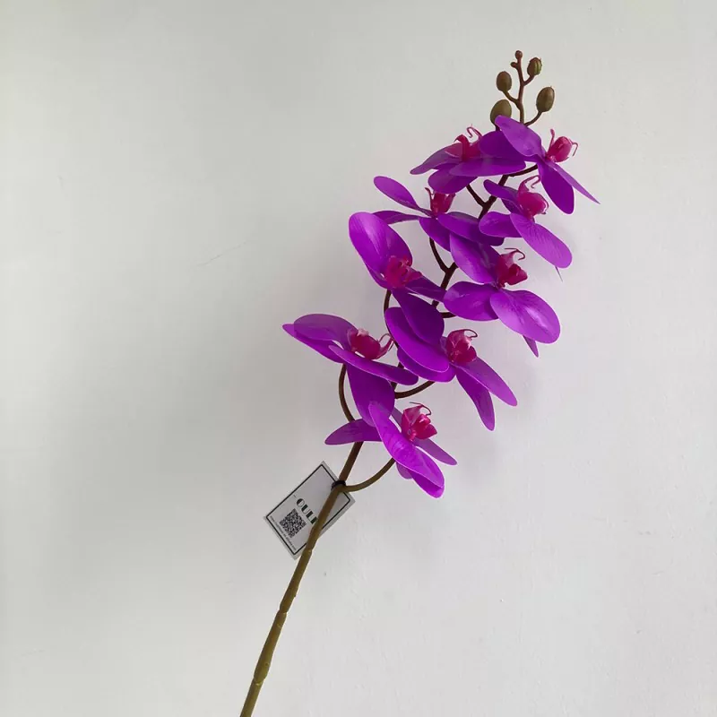 Prawdziwy dotyk sztuczny orchidea