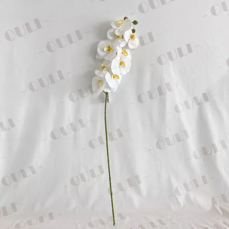 Prawdziwy dotyk fałszywy orchidea